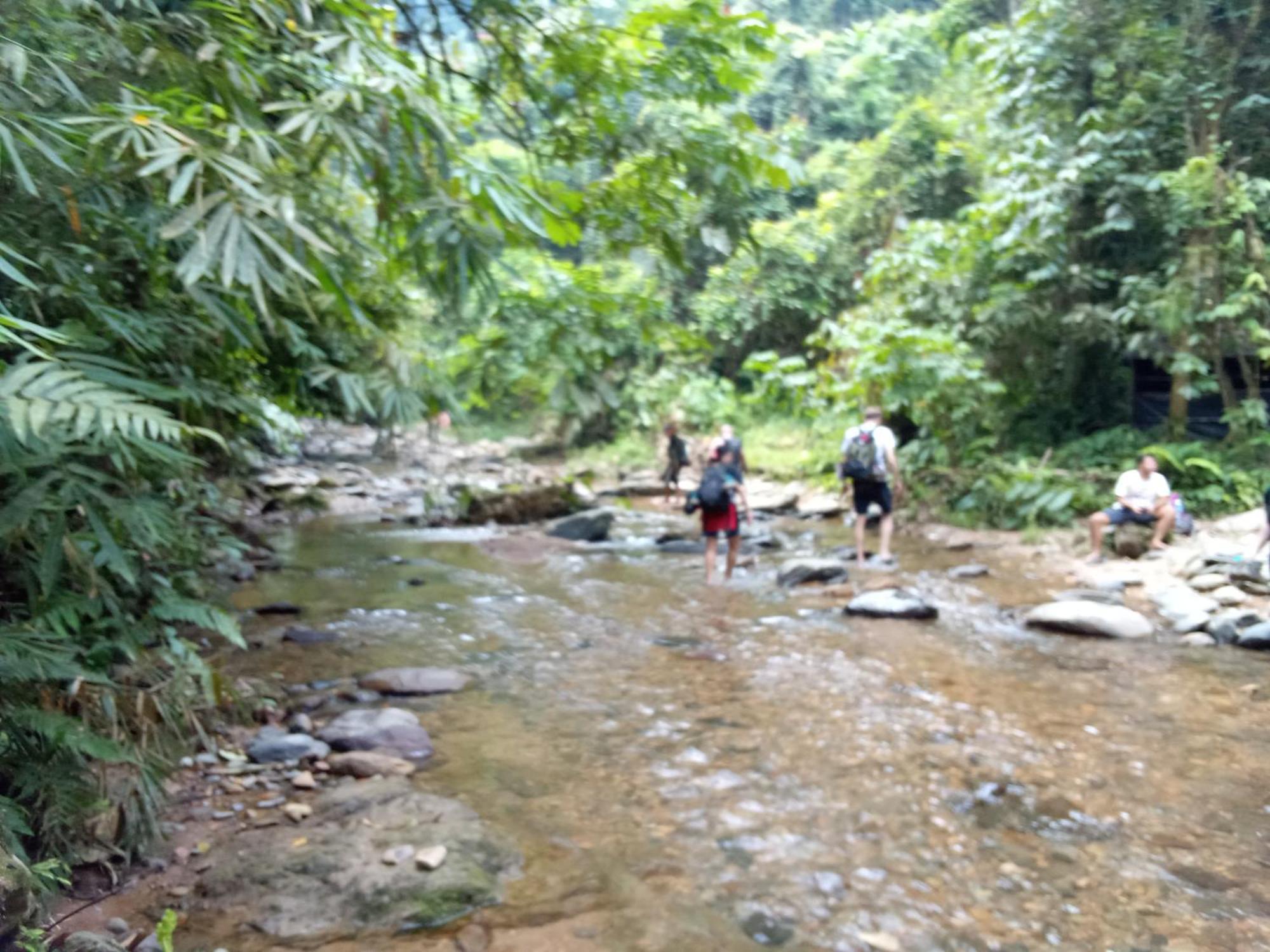 Jungle Treking & Jungle Tour If You Want To Stay Here,You Must Book Treking Only With Us Bukit Lawang Exterior foto