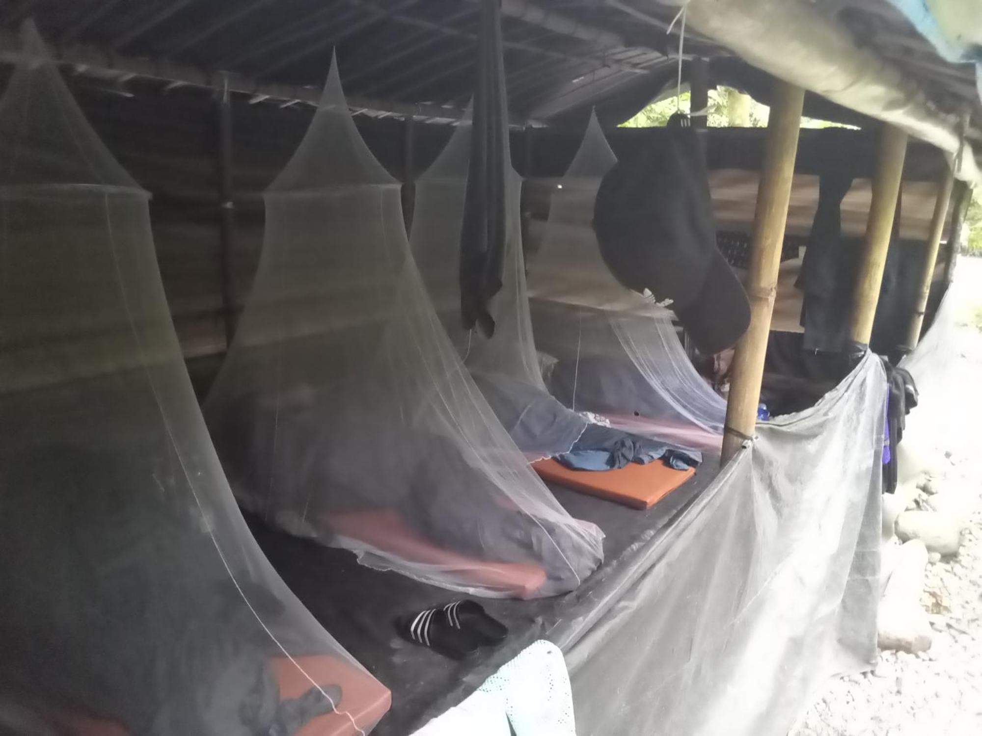 Jungle Treking & Jungle Tour If You Want To Stay Here,You Must Book Treking Only With Us Bukit Lawang Exterior foto