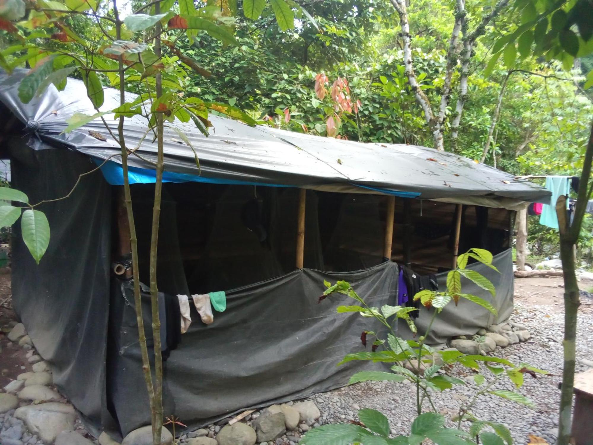 Jungle Treking & Jungle Tour If You Want To Stay Here,You Must Book Treking Only With Us Bukit Lawang Exterior foto